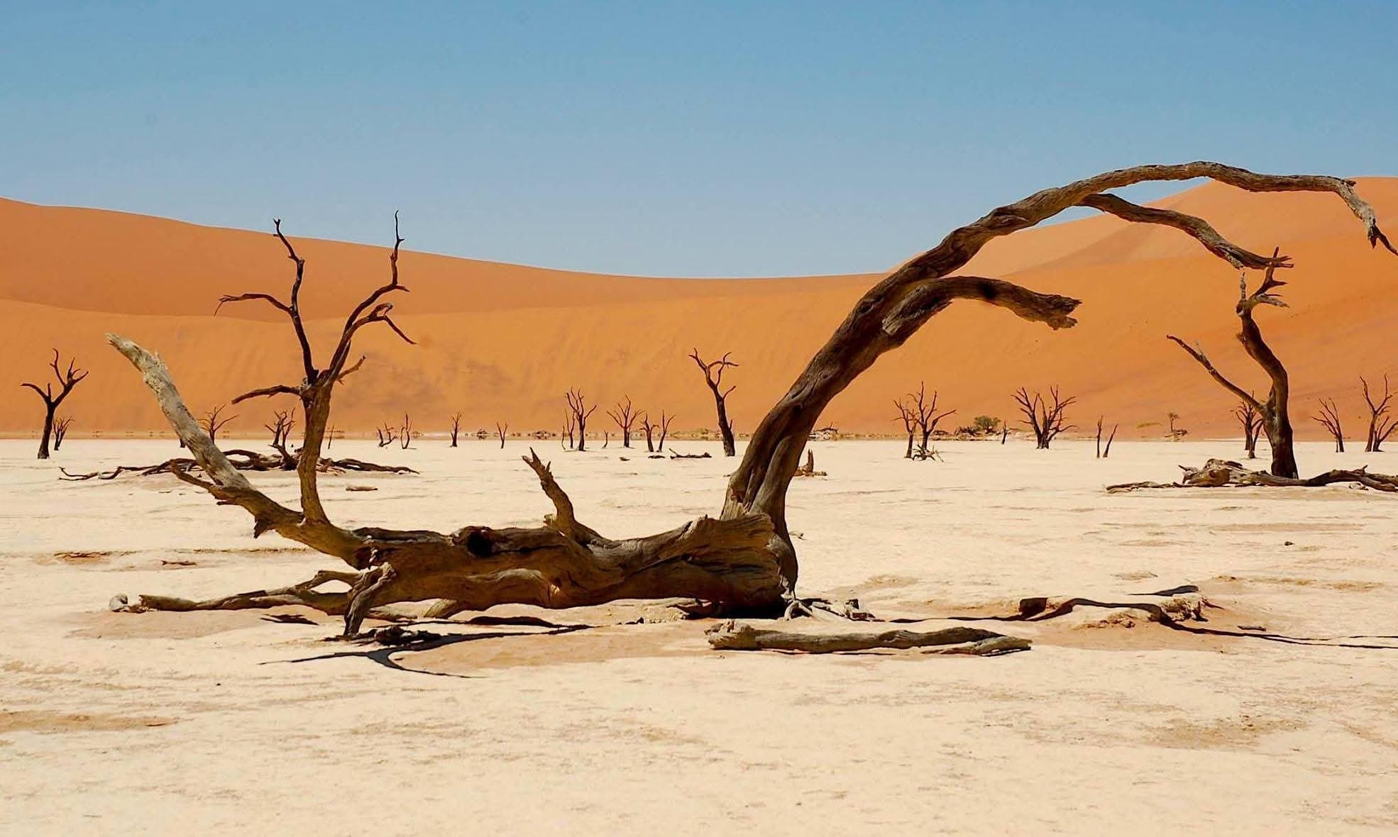 Namibia landscape